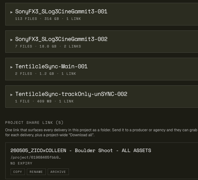 The master delivery page listing final files in folders with sizes.